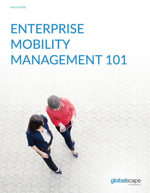 enterprise mobility management