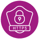 icon of a lock and the word HTTPS