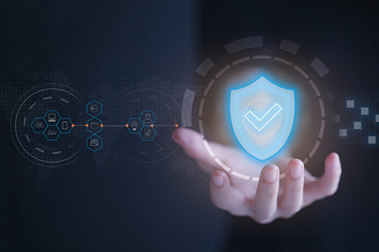 Cybersecurity Program 