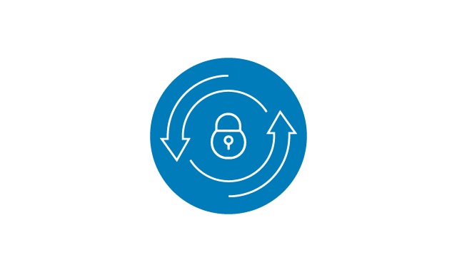 Data Security Icon